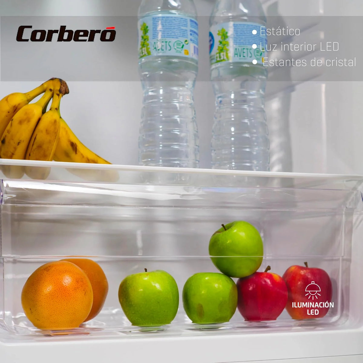 Corbero – Lodówka 1-drzwiowa | CCLH17023W | 331L | 171,5 x 60 x 59 cm | Szuflada do ścinania | Szklane półki i jajko | Odwracalne drzwi | Nogi poziomujące | biały