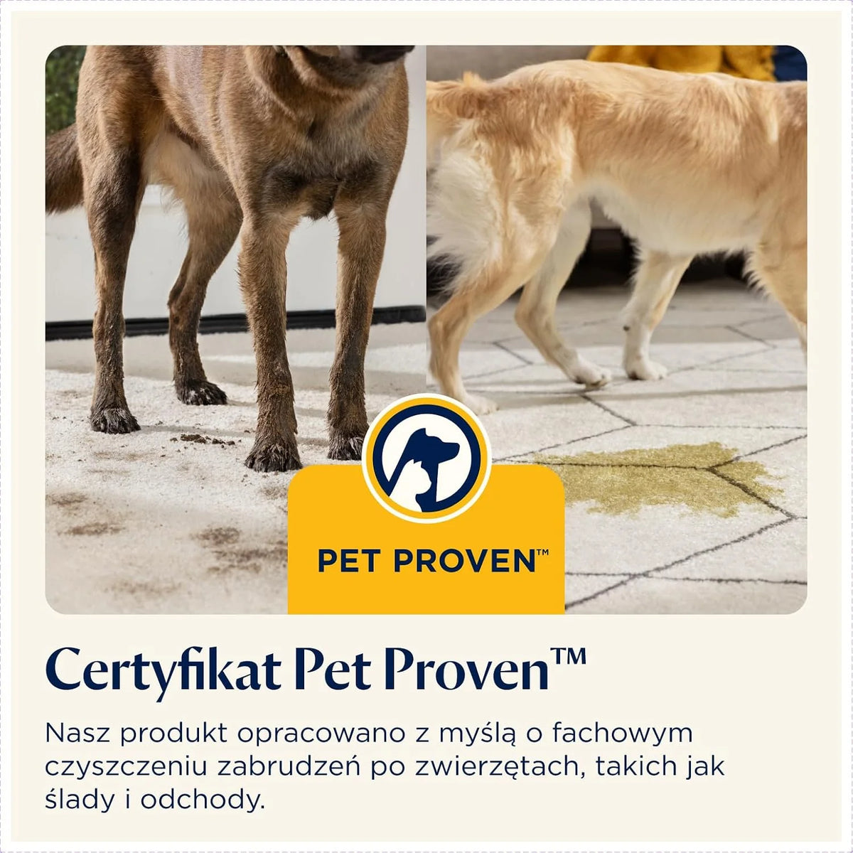 BISSELL SpotClean ProHeat Odkurzacz Piorący do Tapicerki 330W 36988