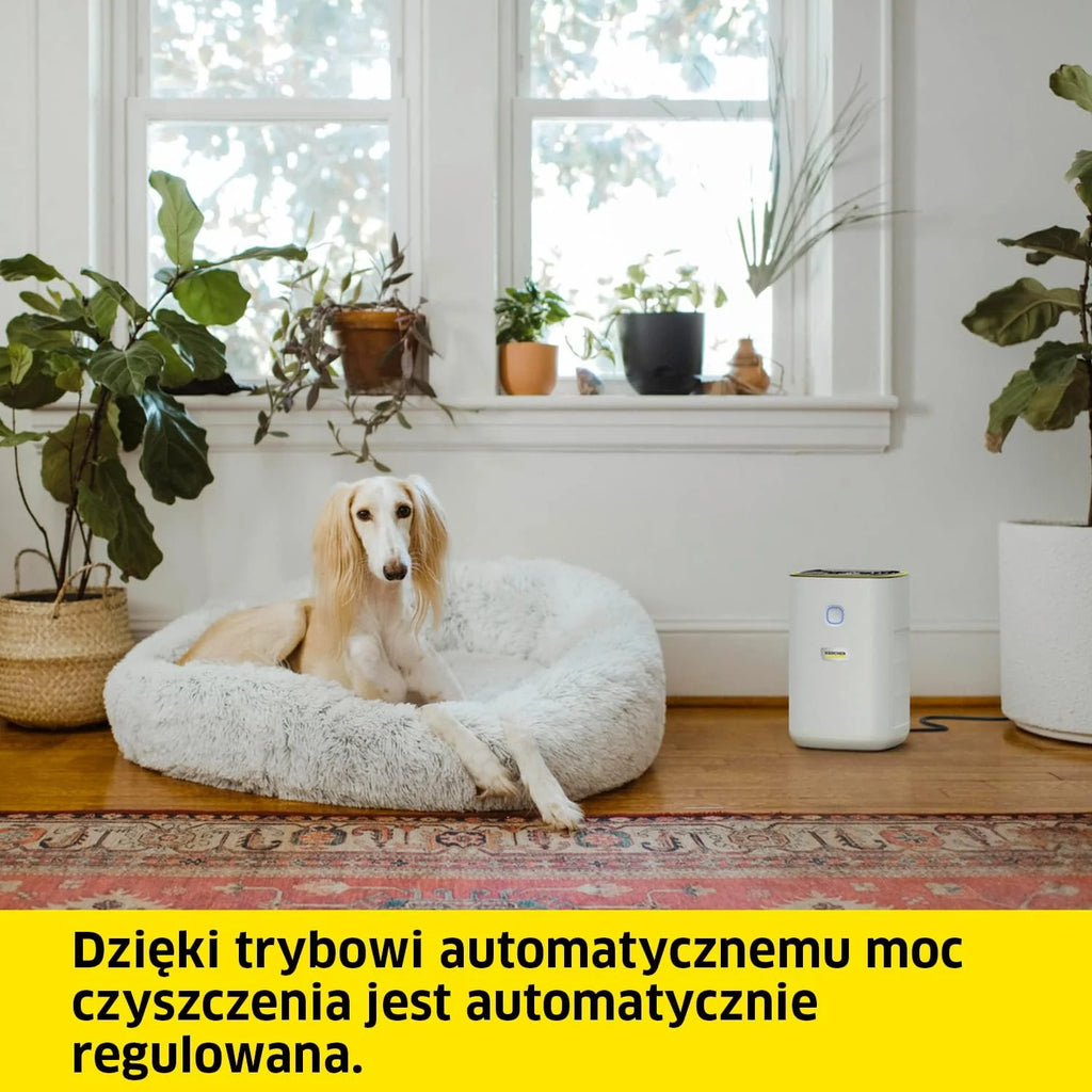 Kärcher Oczyszczacz Powietrza AF 20, Przepływ 220 m³/h, Wielkość Pomieszczenia 20 m², Wydajność Usuwa 99.95% Cząsteczek do 0.3 μm Takich jak Kurz, Pyłki i Alergeny, Timer, Tryb Automatyczny i Nocny