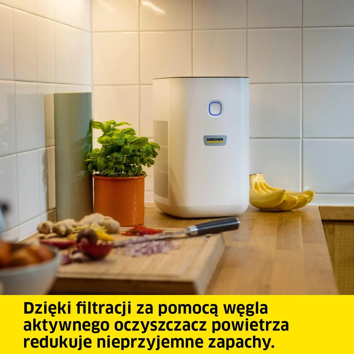 Kärcher Oczyszczacz Powietrza AF 20, Przepływ 220 m³/h, Wielkość Pomieszczenia 20 m², Wydajność Usuwa 99.95% Cząsteczek do 0.3 μm Takich jak Kurz, Pyłki i Alergeny, Timer, Tryb Automatyczny i Nocny