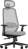 ProtoArc Ergonomiczne krzesło do domu i biura