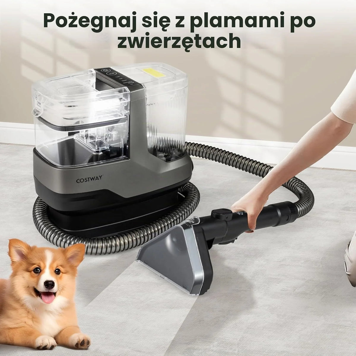 COSTWAY Urządzenie do czyszczenia tapicerki, 1800 W, para, sterylizacja, czyszczenie zimnej i gorącej wody, odkurzacz z 2 głowicami szczotki, przenośny odkurzacz na mokro do sofy, tapicerki, schodów