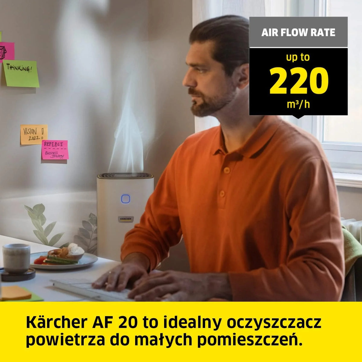 Kärcher Oczyszczacz Powietrza AF 20, Przepływ 220 m³/h, Wielkość Pomieszczenia 20 m², Wydajność Usuwa 99.95% Cząsteczek do 0.3 μm Takich jak Kurz, Pyłki i Alergeny, Timer, Tryb Automatyczny i Nocny